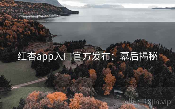 红杏app入口官方发布：幕后揭秘