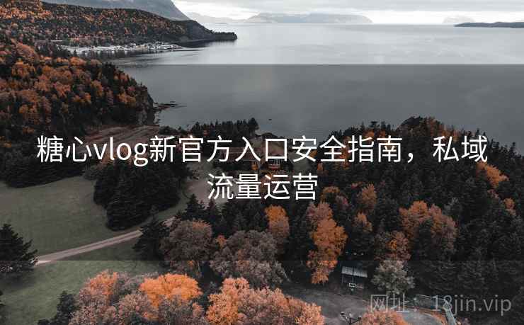 糖心vlog新官方入口安全指南，私域流量运营
